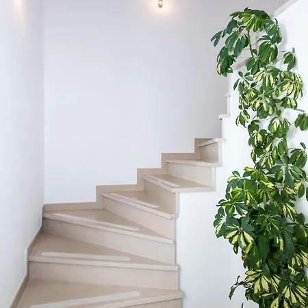 Casa de hóspedes Letizia 3*